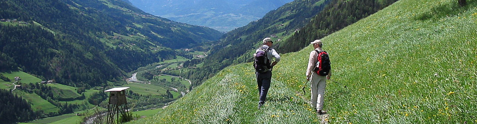 Wandercoaching